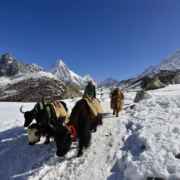 Everest Base Camp Trek in February